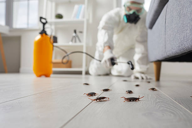 Commercial Kitchen Cockroach Control in Varnville